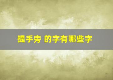 提手旁 的字有哪些字